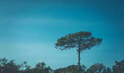 java开发，年薪15W的你和年薪50W的他的差距