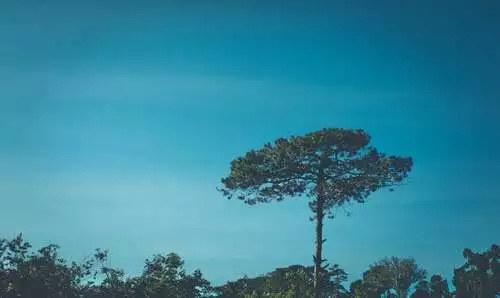 java开发，年薪15W的你和年薪50W的他的差距