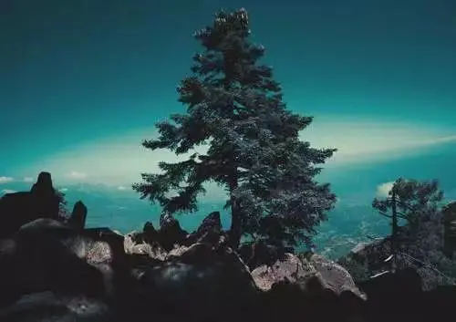 java开发，年薪15W的你和年薪50W的他的差距