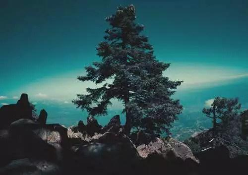 java开发，年薪15W的你和年薪50W的他的差距