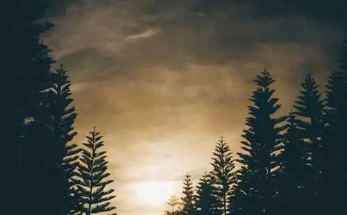 java开发，年薪15W的你和年薪50W的他的差距