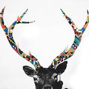 踩着单车载着猪的个人资料头像