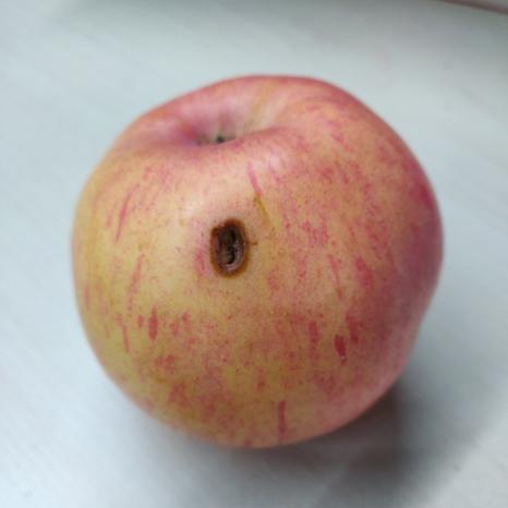 程序猿的每日一刻于2019-01-28 08:53发布的图片