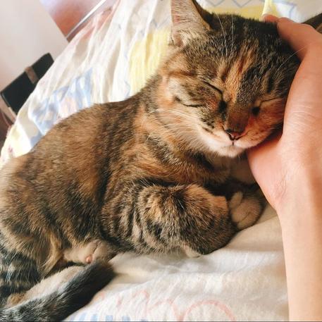 吕麻花于2019-01-29 01:07发布的图片