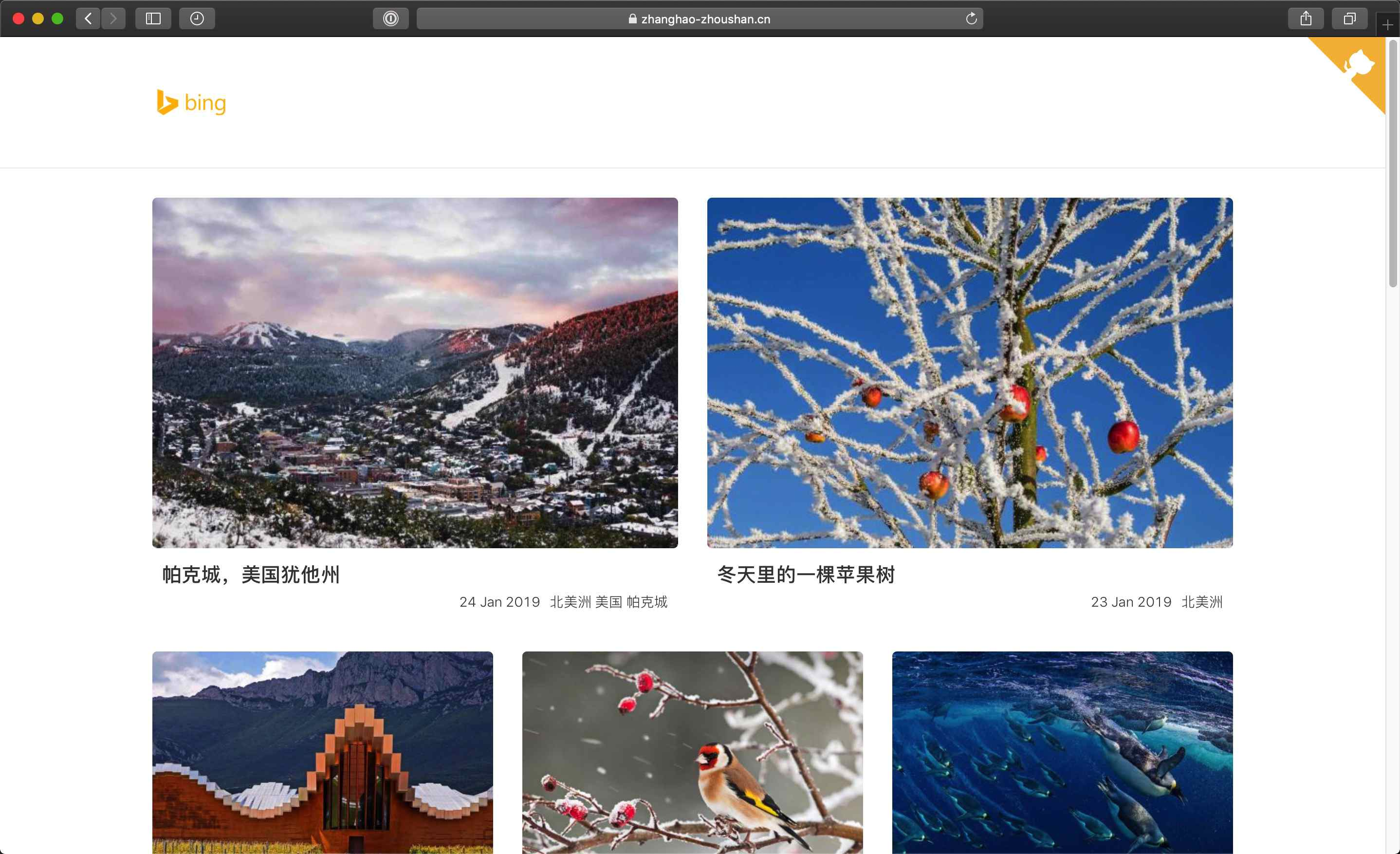 Bing Image Collect