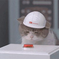 程序员趣事于2019-01-29 10:47发布的图片