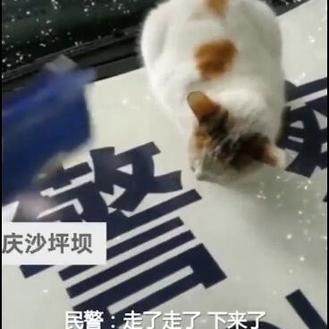 娱乐小编于2019-01-29 11:55发布的图片