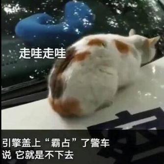 娱乐小编于2019-01-29 11:55发布的图片