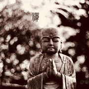 孙晓伟的个人资料头像