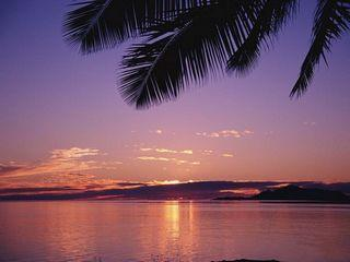 Markdown插入代码