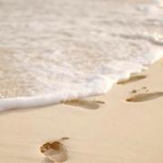 翼然的个人资料头像