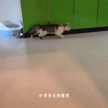 程序员趣事于2019-01-30 14:10发布的图片