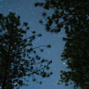 yaaaao的个人资料头像