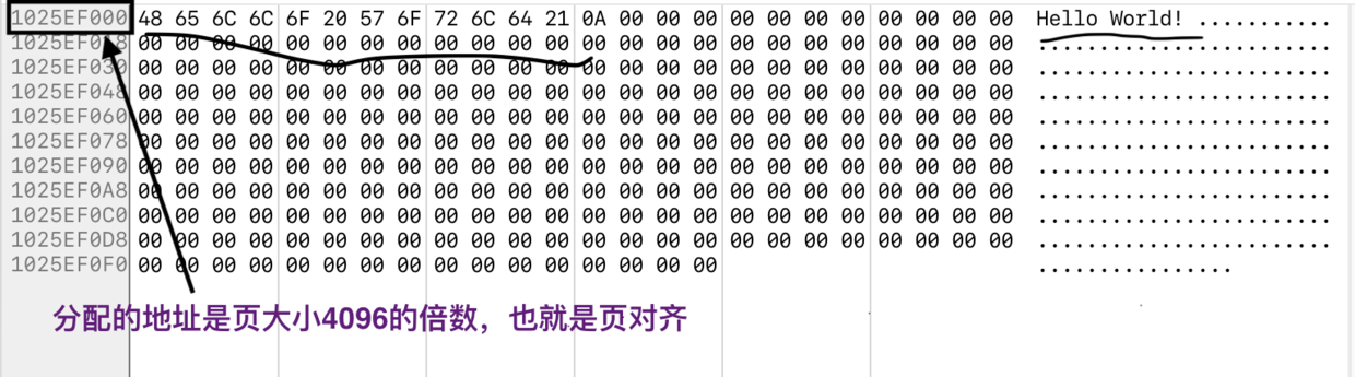 addr地址的内存布局