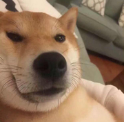 undefined的个人资料头像