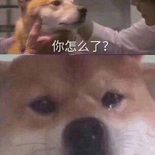 呆呆硕同学于2019-01-05 17:31发布的图片