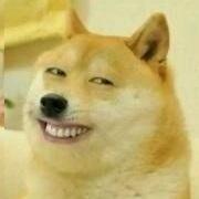 程序员的路还有多远的个人资料头像