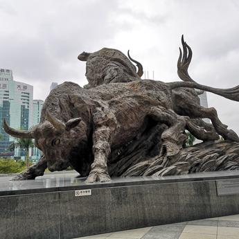 一只码于2019-01-06 10:00发布的图片