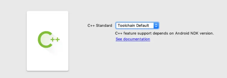 自定义 C++ Support