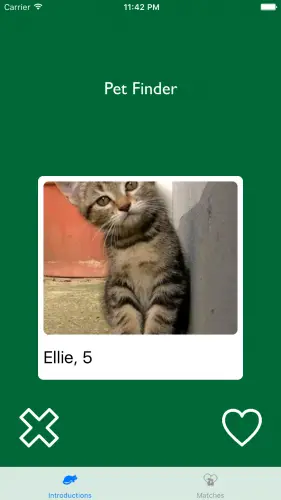 Pet Finder
