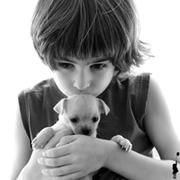 renbinghao的个人资料头像