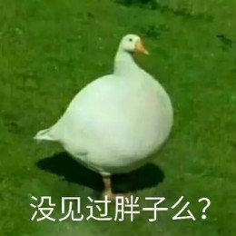 人工智能姬于2019-01-07 21:47发布的图片