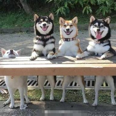 QWERT于2019-01-08 09:12发布的图片