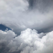 落日的个人资料头像