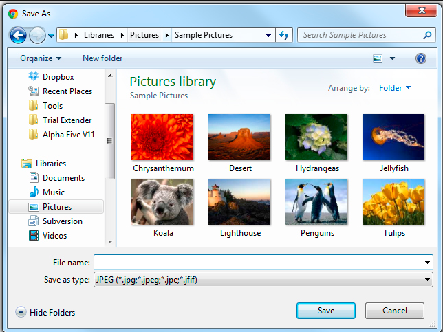 Save images locally01
