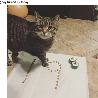 爪哇岛主于2019-01-09 19:36发布的图片