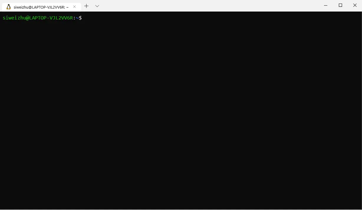 从WSL执行Windows程序