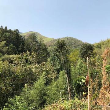 讲不chu再见于2019-10-10 15:29发布的图片