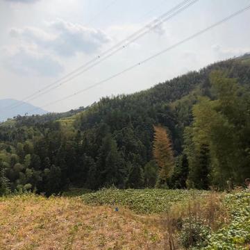 讲不chu再见于2019-10-10 15:29发布的图片