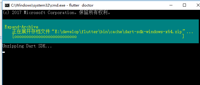 输入flutter doctor命令