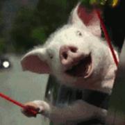 bias45937的个人资料头像