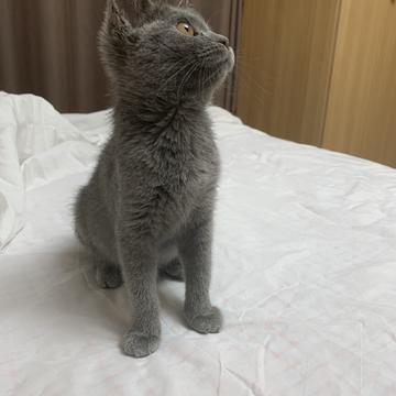 小喵咪于2019-10-11 16:54发布的图片