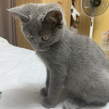 小喵咪于2019-10-11 16:54发布的图片