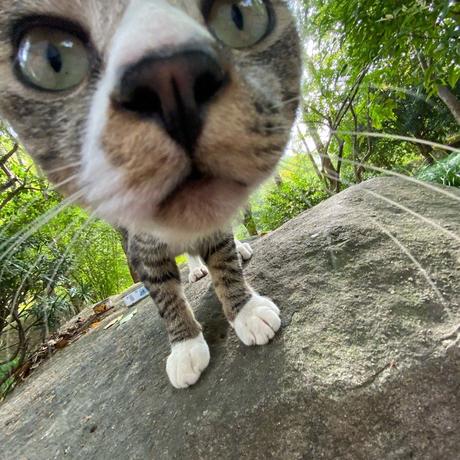 nazimai于2019-10-11 17:19发布的图片