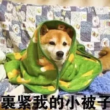 何甜甜在吗于2019-10-11 19:24发布的图片