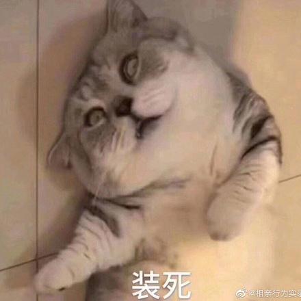 哭着打工于2019-10-11 22:34发布的图片