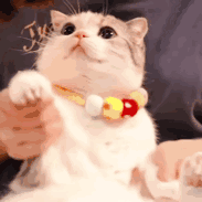 哭着打工于2019-10-12 07:58发布的图片