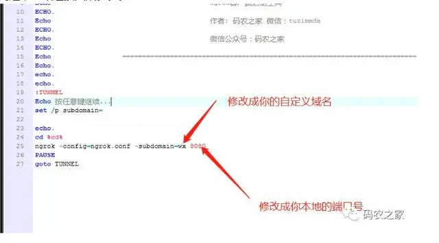 「福利」免费ngrok内网穿透