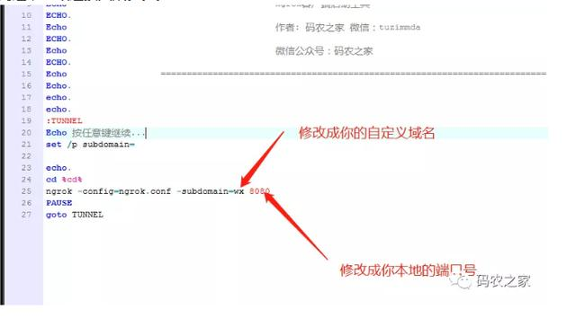 「福利」免费ngrok内网穿透
