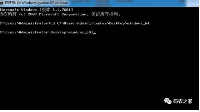 「福利」免费ngrok内网穿透
