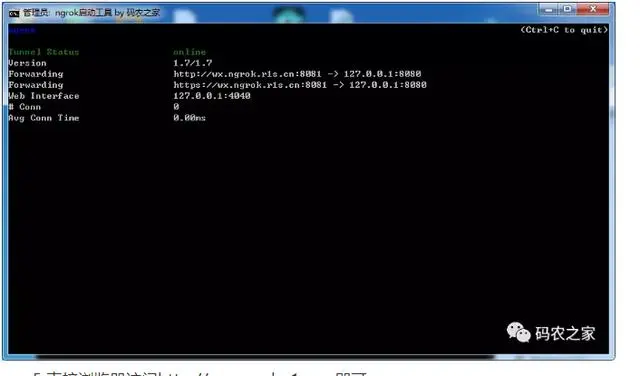 「福利」免费ngrok内网穿透