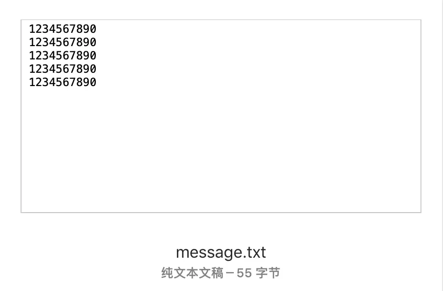 message.txt文件.png