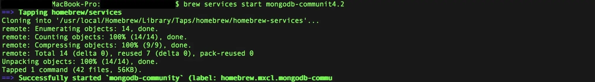 mg-run-mongodb-as-a-server.jpg