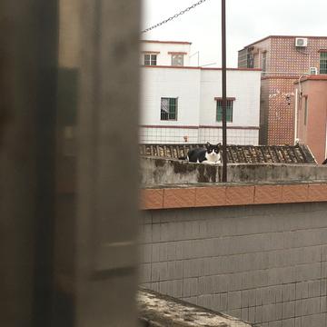 荒山于2019-10-13 12:07发布的图片