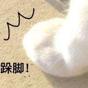 emjio的个人资料头像
