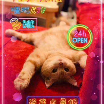 前端劝退师于2019-10-14 10:13发布的图片